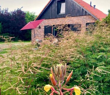 Municipality of Dinkelland House | Natuurhuis Marke Lemselo 80 m2
