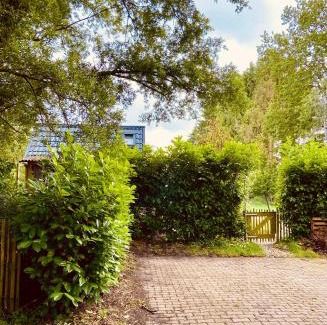 Nieuwlande Ski Chalet | Natuurhuisje in Drenthe inclusief biologisch ontbijt