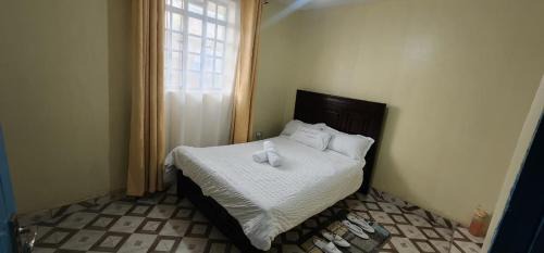 Isiolo Bed & Breakfast | Ndune Homes