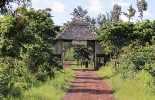 Ngorongoro Conservation Area Resort | Neptune Ngorongoro Luxury Lodge - All Inclusive