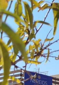 Messini Apartment | Nereids Apartments-Pronoe