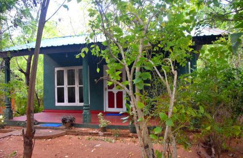 Moragaswewa House | Nethu Herbal Villa