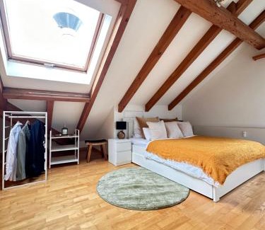Winterthur Apartment | Neu! Gemütliche 2,5 Zimmer Wohnung in Winterthur