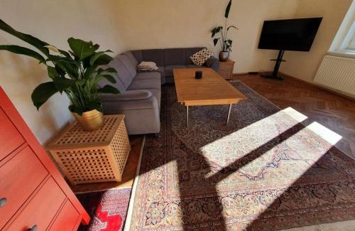 Steyr Apartment | Neu renovierte Altbauwohnung im Herzen von Steyr 100qm