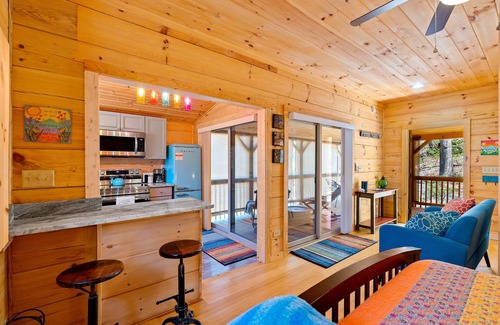 Swannanoa Cabin | NEW Cabin 15 min to Asheville with Blue Mountain Views!