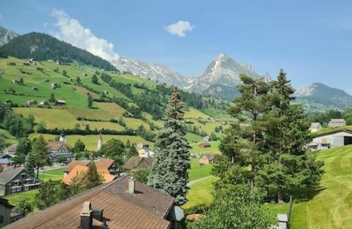 Alt Sankt Johann House | New Chalet with breathtaking views!