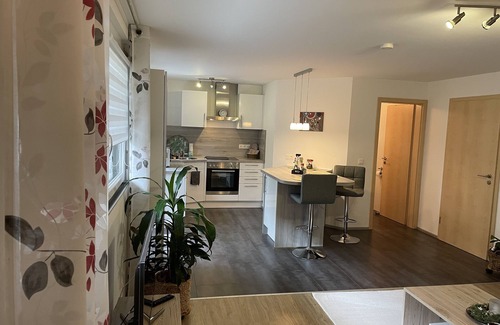 Ortenberg Apartment | New comfort apartment. Basement, good for excursions, Europapark, Strasbourg