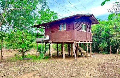Habarana Resort | New Eagles Wings Resort