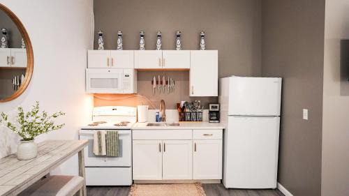 Mount Vernon Apartment | *New* La Catrina 1 Bed & Bath Mount Vernon