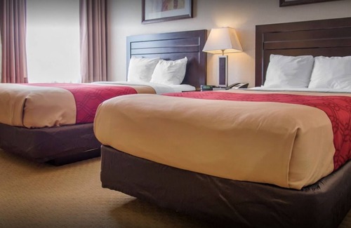 Winnipeg Hotel | New Lodge