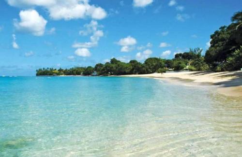 Gibbes House | New Stylish 3BR with Private Pool ! Walk to Beach