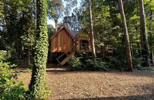 Oisterwijk House | New Unique Treehouses with hot tub in Oisterwijk
