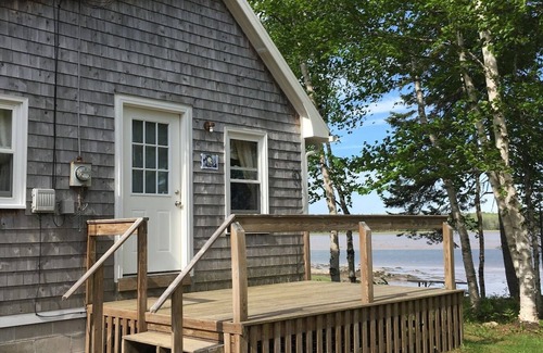 Harrington Cabin | Newly renovated Chickadee cabin on Harrington River, sleeps 4.nPet friendly