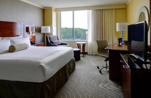 Central Newport News Hotel | Newport News Marriott at City Center