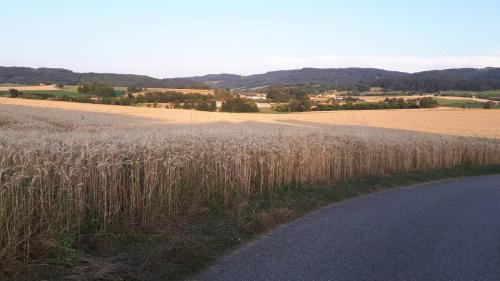 Kilb House | NF Alpenvorland