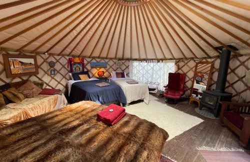 Kenepuru Head Other | Ngahere Hou Glamping