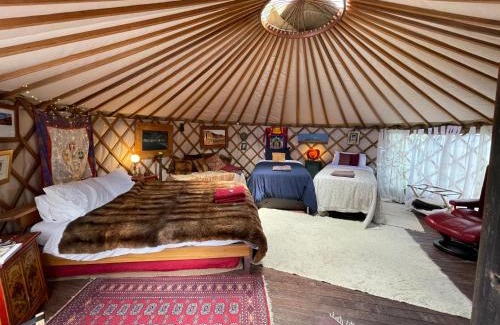Kenepuru Head Other | Ngahere Hou Glamping