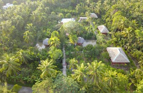 Ben Tre House | Nguyet Que Homestay & Tours