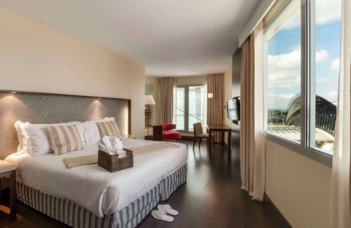 Colombier-Saugnieu Hotel | NH Lyon Airport