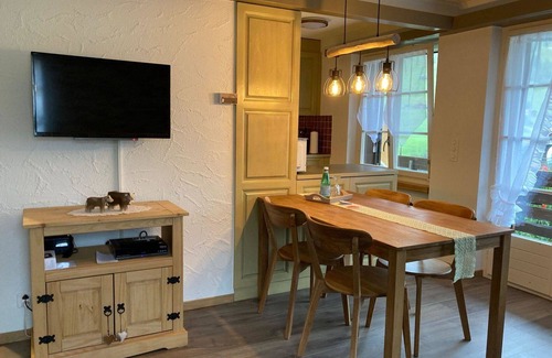 Ruedisbach Apartment | Nice apartment for 4 people with WIFI, TV, balcony and pets allowed