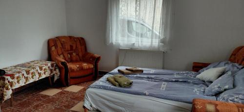 Deg House | Nicoláj Vendégház és Tanya