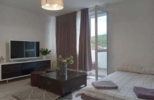 Ocna Mures Apartment | NicoResident