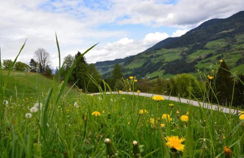 Maschl Apartment | Niederstallnhof