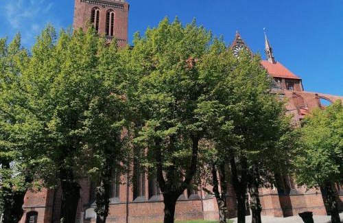 Wismar Apartment | NikolaiTraum in der Altstadt - ebenerdig - ABC295