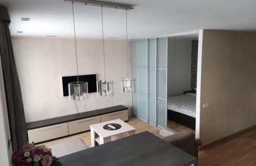 Panevezys Apartment | Nikoletos apartamentai