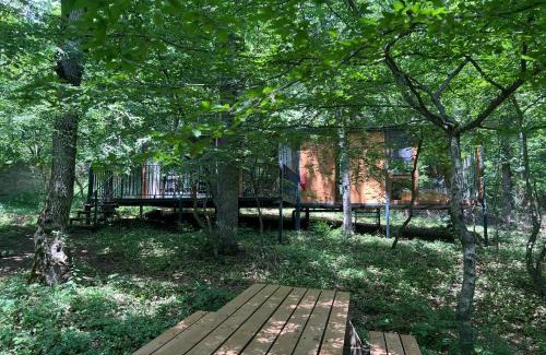 Tbilisi House | Nina's winery forest house in Kiketi