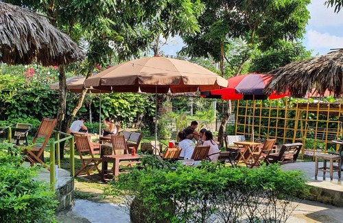 Gia Vien Cottage | Ninh Binh bamboo