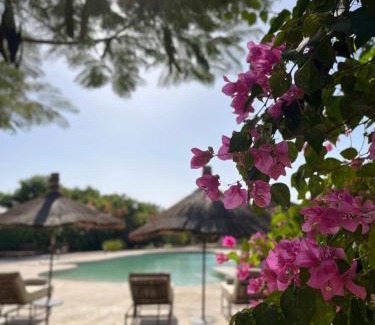 Diakhanor Hotel | Nino Lodge