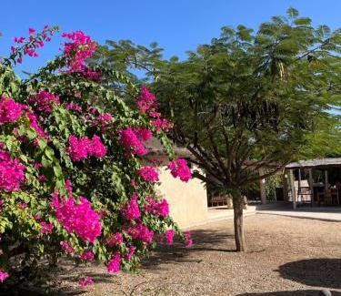 Diakhanor Hotel | Nino Lodge
