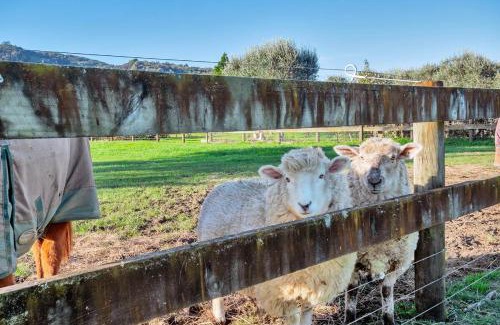 Clevedon Apartment | Nirvana Farm, Clevedon