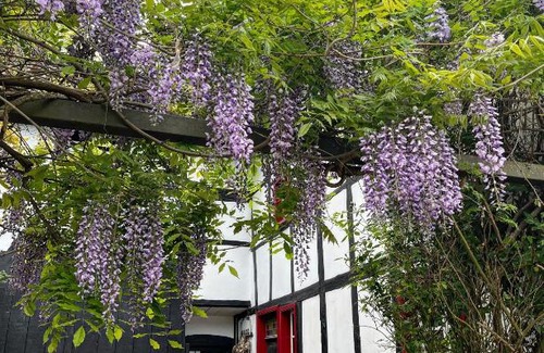 Rurberg House | Noah - Seeleben auf Zeit am Rursee