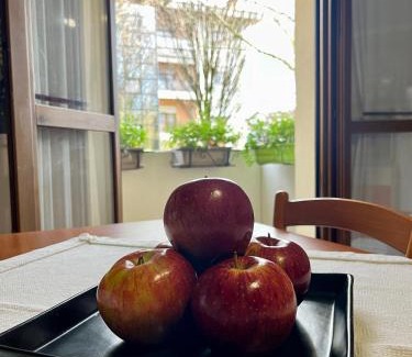 Noale Apartment | NOALE HOUSE