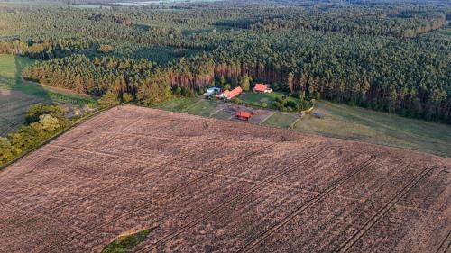 gmina Ryczywo House | Nocleg na skraju puszczy