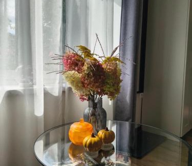 Łowicz Apartment | Noclegi, pokoje, kwatery "Nad Bzurą"