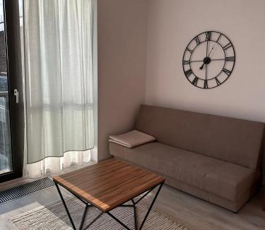 Bydgoszcz Apartment | Nordic Haven View