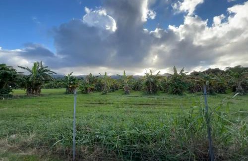 Laie Other | North Shore Glamping Camping Laie, Oahu, Hawaii