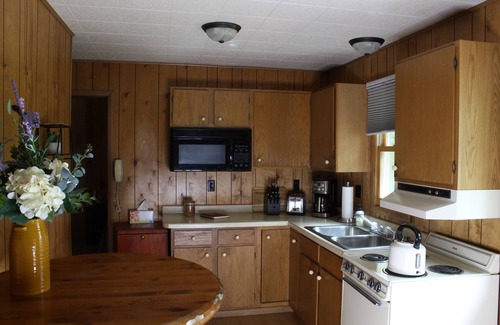 Pine River Cabin | Northwoods Hideaway near Whitefish Chain of Lakes