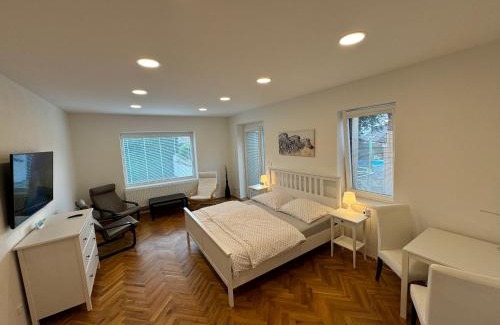 Dvur Kralove nad Labem Apartment | Nová Tyršova