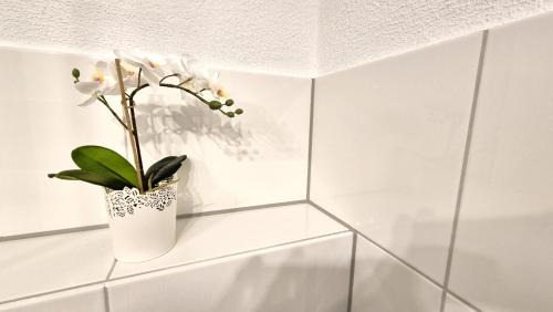 East Mooswald Apartment | Nova Freiburg Dunantstraße