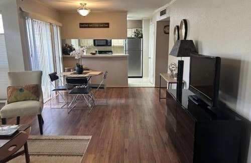 Braeswood Place Apartment | NRG-Houston-Med Center Area 2B-2B All Inclusive