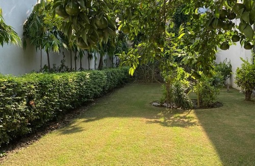 Amritsar Villa | NRI Green Villa(Beautiful house available for AIR BNB Amritsar Punjab)