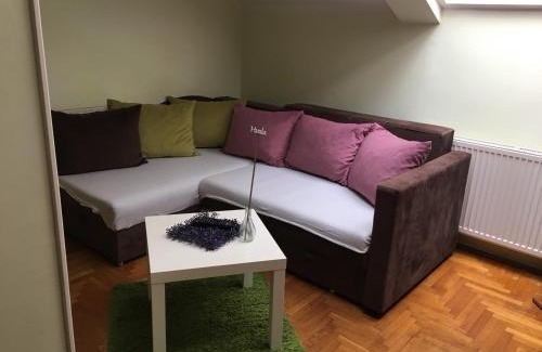 Bistrica Apartment | NS-Fair & Play
