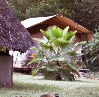 Mto wa Mbu Hotel | NSYA CAMP MANYARA