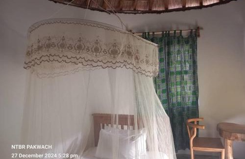 Pakwach Hotel | NT Resort Beach hotel