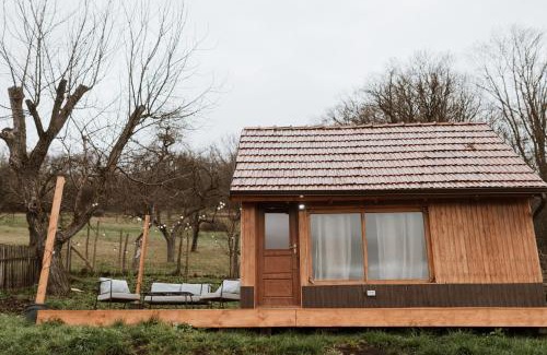 Rupea House | Numa' Bun