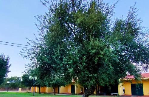 Norbello House | Nuraghe Ruiu Camping & Bungalow